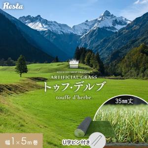 人工芝 ロール 1m×5m 芝丈35mm リアル人工芝 トゥフ・デルブ U字ピン12本付き