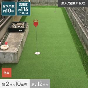 人工芝 ロール 2m×10m 芝丈12mm リアル人工芝 ゴルフ フットサル｜kabegamiyasan