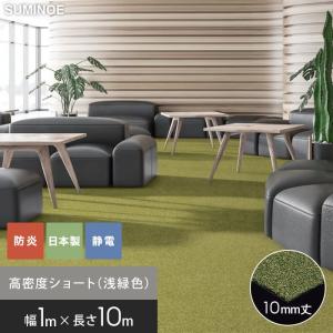 (法人・個人事業主様は送料無料) 人工芝 スミノエ SHIBA リアル人工芝 SGK-1000(L) 巾1m×長さ10m