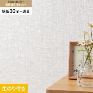 東リ（TOLI） 壁紙 クロス のり付き チャレンジセット (スリット壁紙