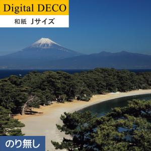 壁紙 クロス のりなし壁紙 リリカラ デジタル・デコ 真白き秀峰富士 和紙 Jサイズ｜kabegamiyasan