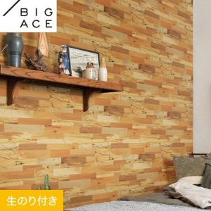 サンゲツ（SANGETSU） 壁紙 クロス のり付き (ミミ付き) SP2582 (旧