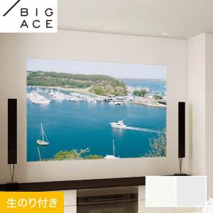 壁紙 クロス のり付き シンコール BIGACE プロジェクター用クロス 巾92.5cm BA7204・BA7205