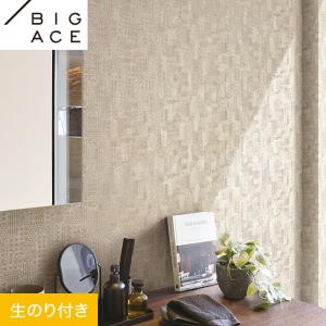 サンゲツ（SANGETSU） 壁紙 クロス のり付き FINE 蓄光 巾92cm FE76862