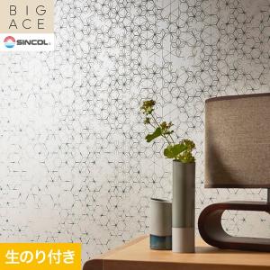 サンゲツ（SANGETSU） 壁紙 クロス のり無し SP2532 (巾92cm