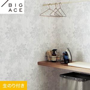 サンゲツ（SANGETSU） 壁紙 クロス のり付き (ミミ付き) SP2582 (旧