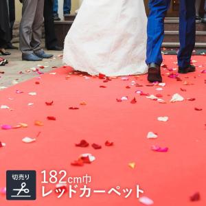 パンチカーペット リックパンチ 182cm巾 レ...の商品画像