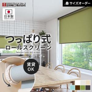 タチカワブラインド ロールスクリーン ロールカーテン ラルク用