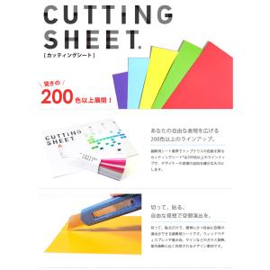 カッティングシート 215色 45cmx1m単...の詳細画像1