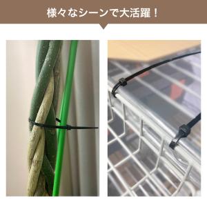結束バンド 結束 バンド ケーブルまとめ ケー...の詳細画像2