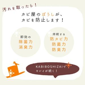 防カビ剤 KABIBOSHIZAI 噴霧器付 ...の詳細画像2