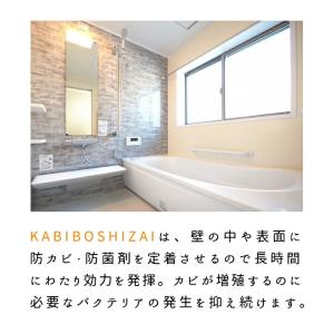 防カビ剤 KABIBOSHIZAI 噴霧器付 ...の詳細画像3