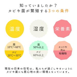 防カビ剤 KABIBOSHIZAI 噴霧器付 ...の詳細画像5