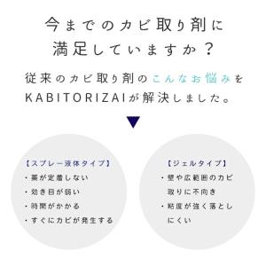 カビ取り剤 KABITORIZAI 450ml...の詳細画像2