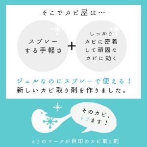 カビ取り剤 KABITORIZAI 450ml...の詳細画像3
