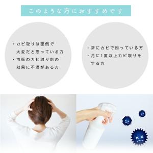 カビ取り剤 KABITORIZAI 450ml...の詳細画像4
