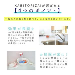 カビ取り剤 KABITORIZAI 450ml...の詳細画像5