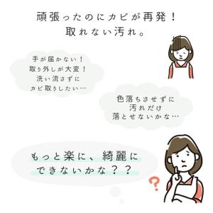 布カーテン・畳・エアコン対応 スプレー式カビ取...の詳細画像2