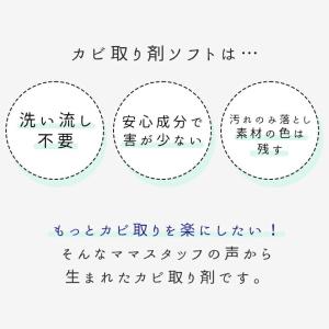 布カーテン・畳・エアコン対応 スプレー式カビ取...の詳細画像4