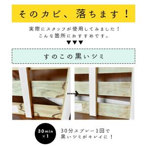 布カーテン・畳・エアコン対応 スプレー式カビ取...の詳細画像5