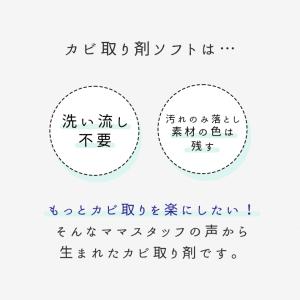 カーテン カビ取り剤 SOFT 450ml 色...の詳細画像4