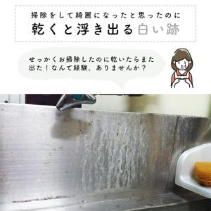 水垢取り 水垢つるりん 100ml 水垢洗剤 ...の詳細画像2