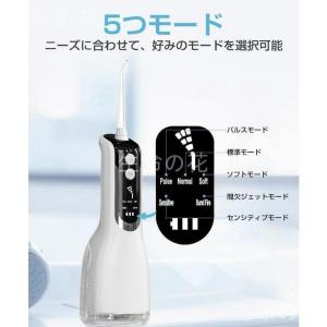口腔洗浄器 ジェットウォッシャー 口腔洗浄機 ...の詳細画像1