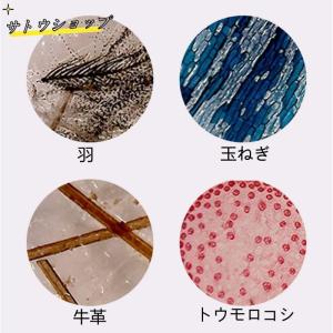 顕微鏡 子供 子ども用 ミニ顕微鏡 初心者 顕...の詳細画像5
