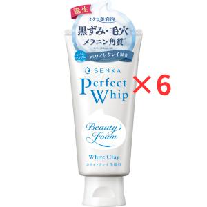 ROSETTE（ロゼット） 洗顔パスタ 海泥スムース 120g 毛穴汚れ 角質