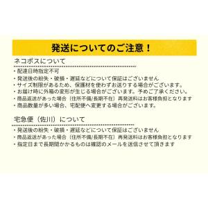 興和 腰椎コルセット バンテリン コーワ サポ...の詳細画像3