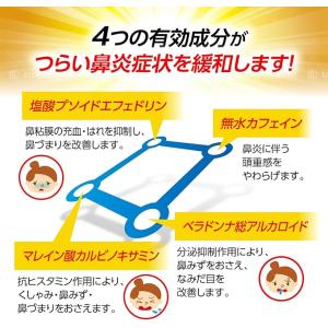 【指定第2類医薬品】パブロン鼻炎カプセルSα ...の詳細画像3