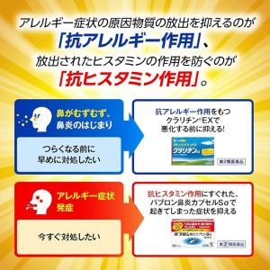 【指定第2類医薬品】パブロン鼻炎カプセルSα ...の詳細画像4