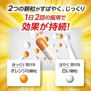 【指定第2類医薬品】パブロン鼻炎カプセルSα ...の詳細画像2