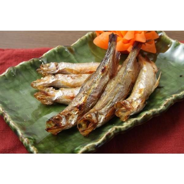 シシャモ 北海道 広尾産 新物 6尾入り 真空パック