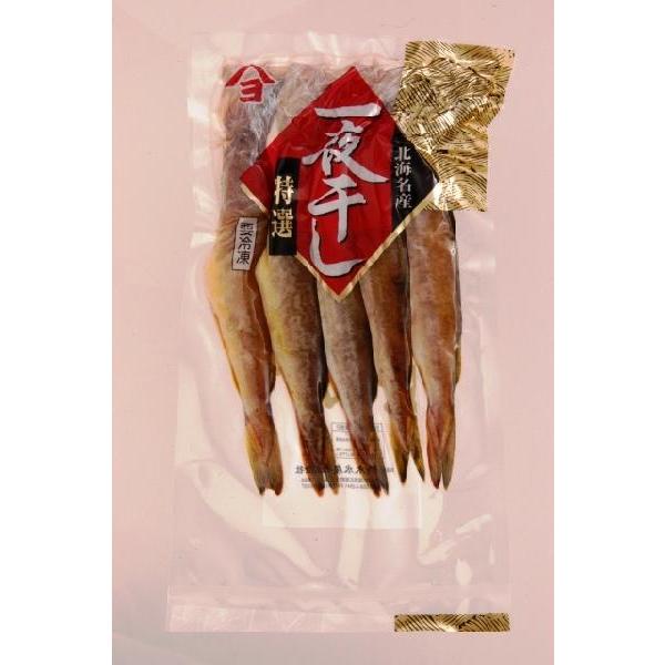 こまい一夜干し 北海道産コマイ使用 5尾 北海道広尾町加工