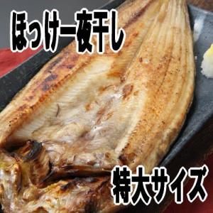 真ほっけ一夜干し 特大セット 6尾入り 送料無料 ギフト｜kabusui