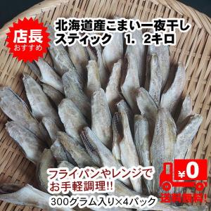 北海道直送 お徳用 生干しこまい 約1．2kg