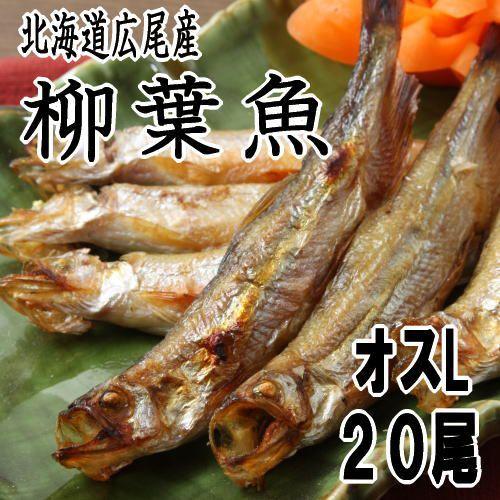 ししゃも  オスＬサイズ 20尾 北海道広尾町加工干物 十勝 シシャモ