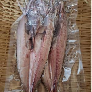 北海道産 訳あり 真ほっけ一夜干し 10尾 キ...の詳細画像1