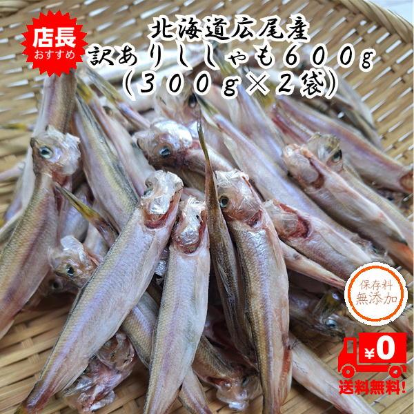 お試しに最適！北海道広尾産　訳ありシシャモ600g(300g×2袋) 70尾前後