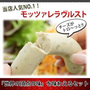 【金メダル日本最多】ソーセージ味比べお楽しみセット　A