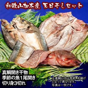 和歌山加太産の真鯛と季節の魚の天日干し5000円セット