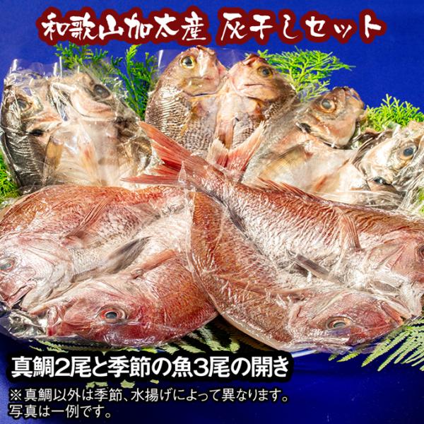 加太産の真鯛と季節の魚の灰干し 5,000円セット