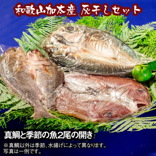 加太産の真鯛と季節の魚の灰干し 7,000円セット