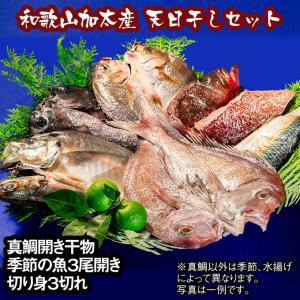 和歌山加太産の真鯛と季節の魚の天日干し7000円セット