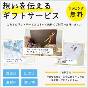カド― ハンディファン STREAM Mini...の詳細画像5