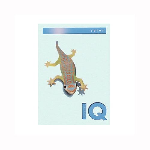 A-9003974400013 伊東屋 バイオトップカラーＡ４（５００枚入）