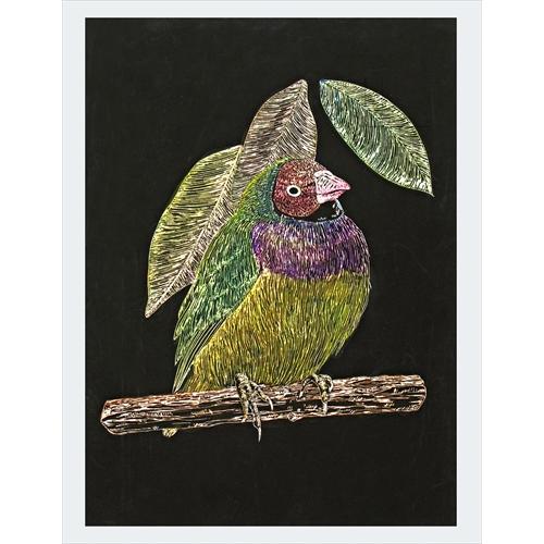 AR4521718134673 アーテック スクラッチボードEX スクレーパー