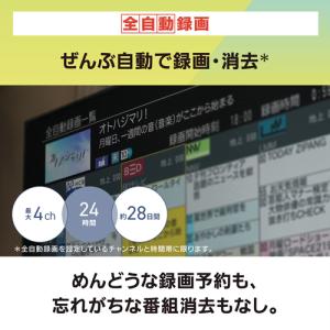 【今なら5年延長保証加入が無料】DMR-4X4...の詳細画像4
