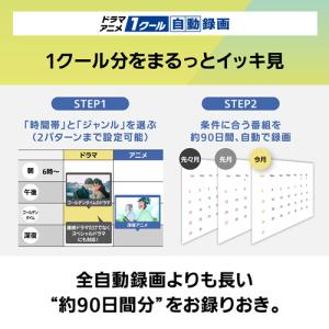 【今なら5年延長保証加入が無料】DMR-4X4...の詳細画像5